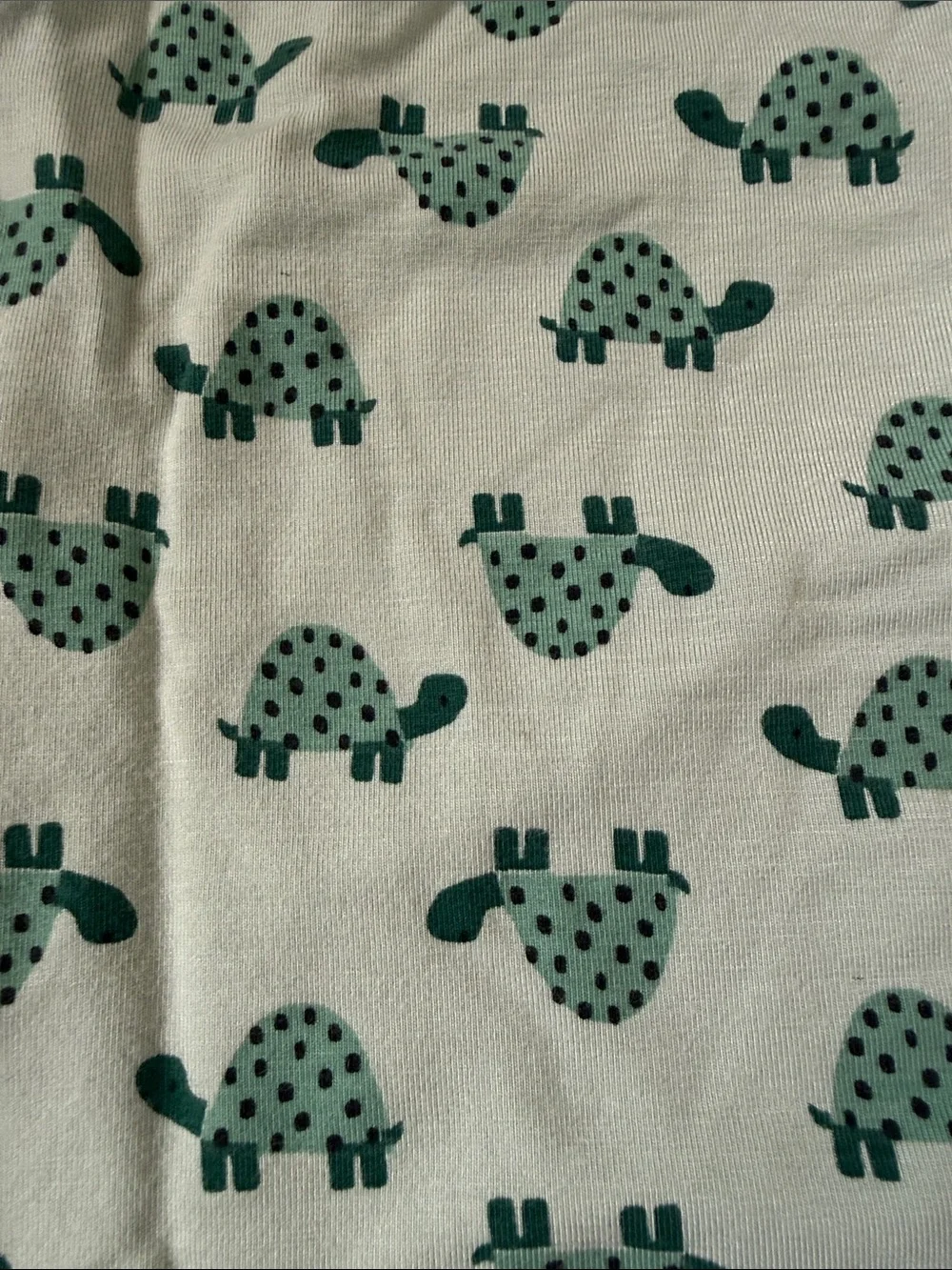 Hanna Andersson Turtle Print Pajama Set Size 3T